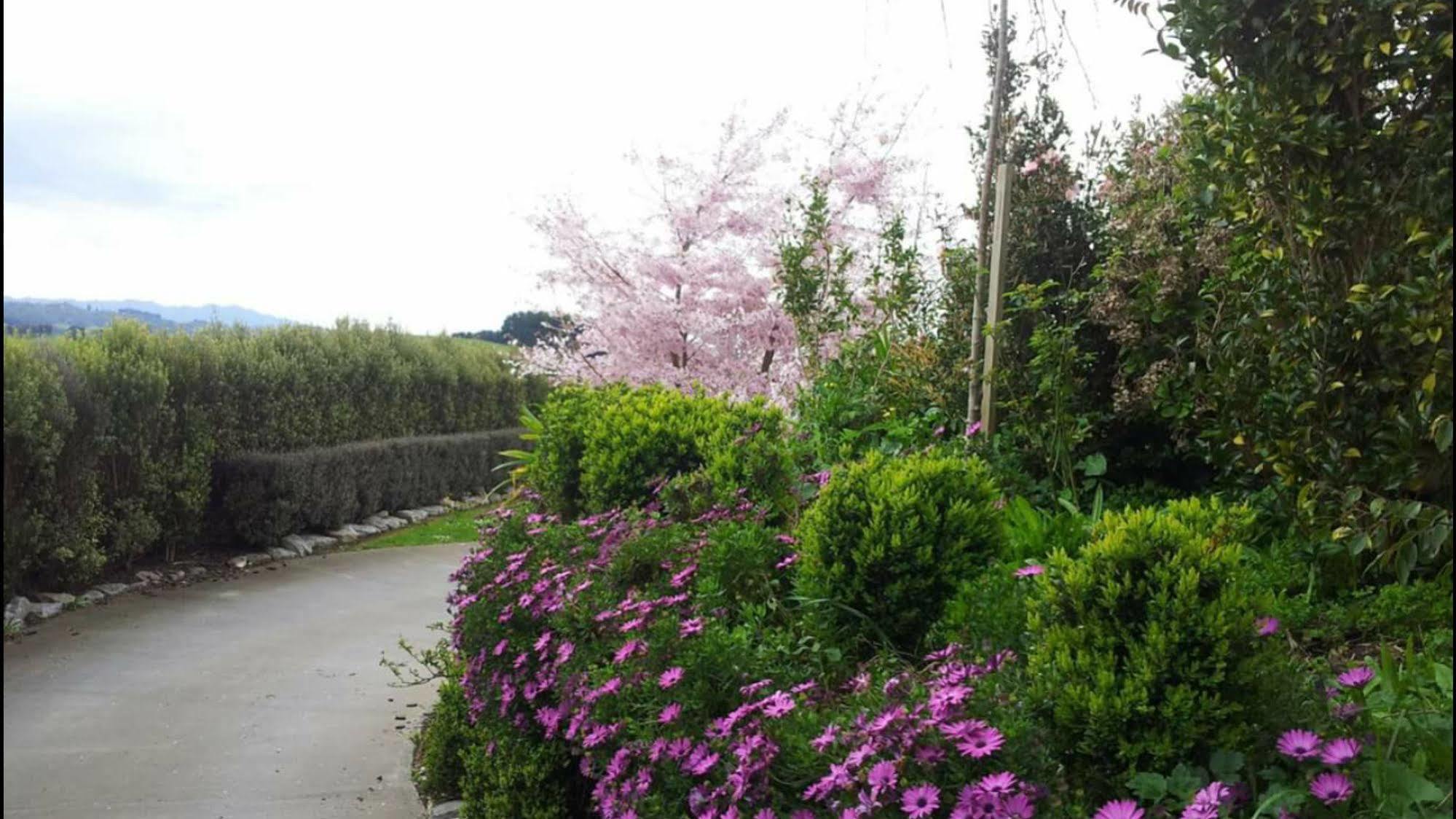 Waitomo Orchard Estate B&B Otorohanga Exterior foto